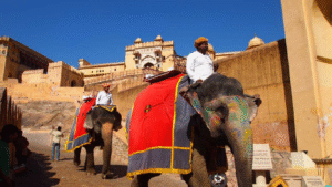 untitled design (18)