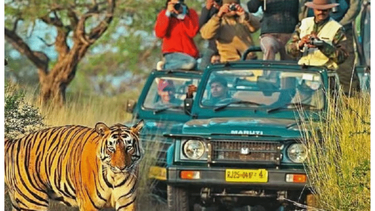 The Bless Tour untitled design (27)