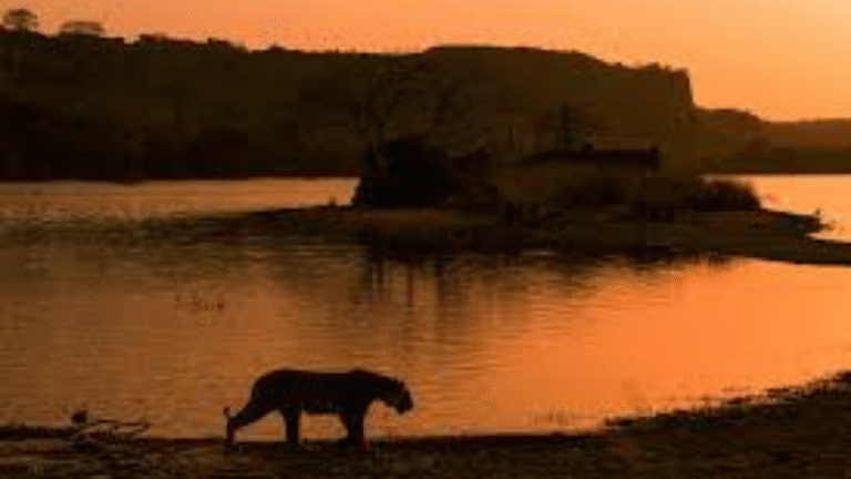 The Bless Tour untitled design (29)