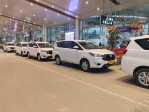 untitled design (43)