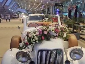 untitled design (51)