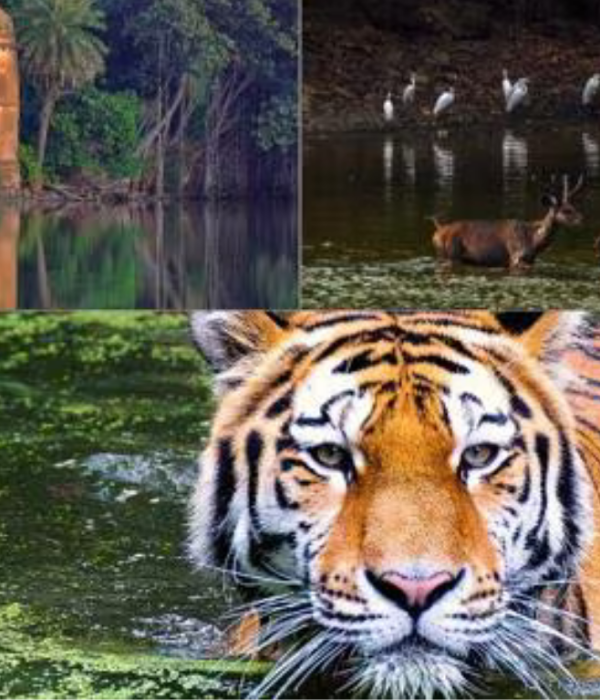 untitled design (22)